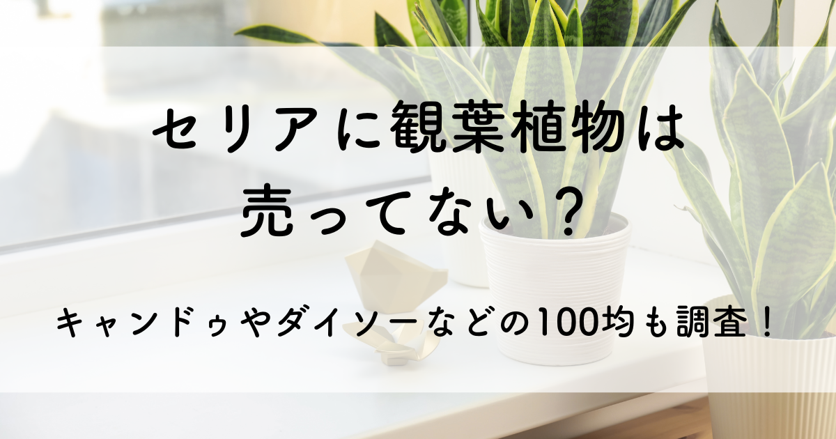 セリア 観葉 植物 売っ て ない